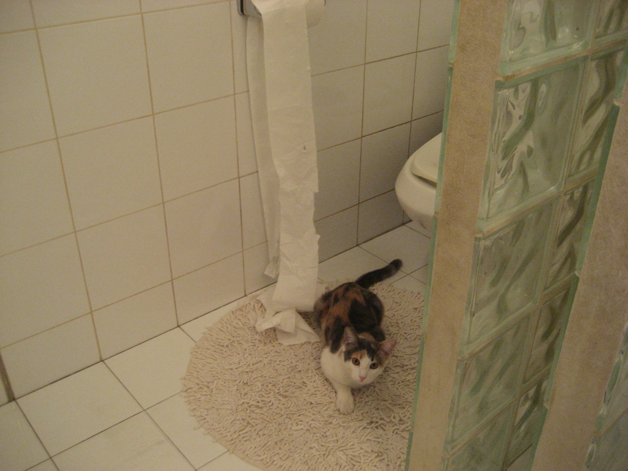 乐鱼娱乐app-中超赛季数据报告公布揭示技术进步趋势，2021至2022赛季中超各队情况