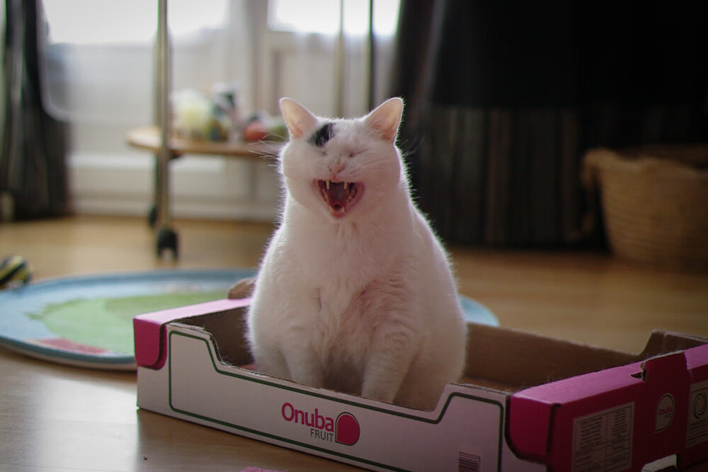 体育新闻中心联合高校建设体育数据分析中心,高校体育教学信息资源建设与共享探讨