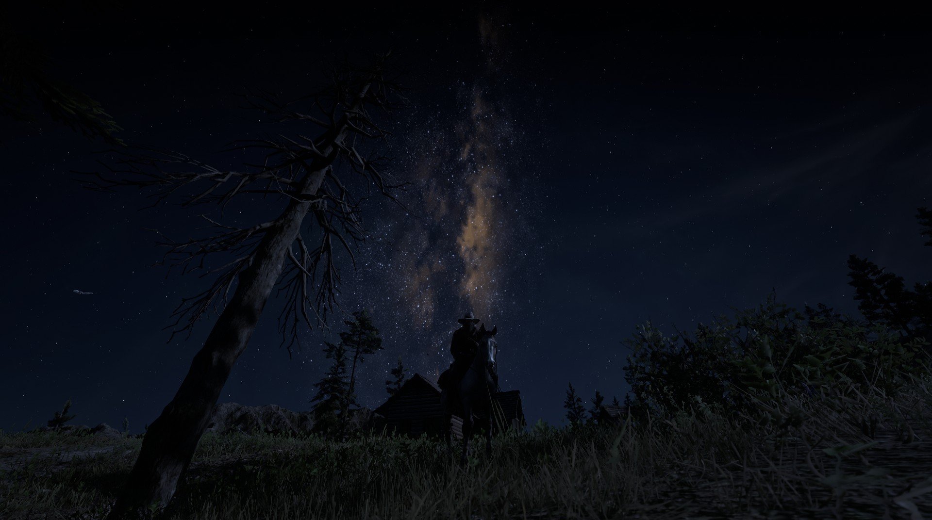 混合泳项目新秀突围成功,混合泳是啥