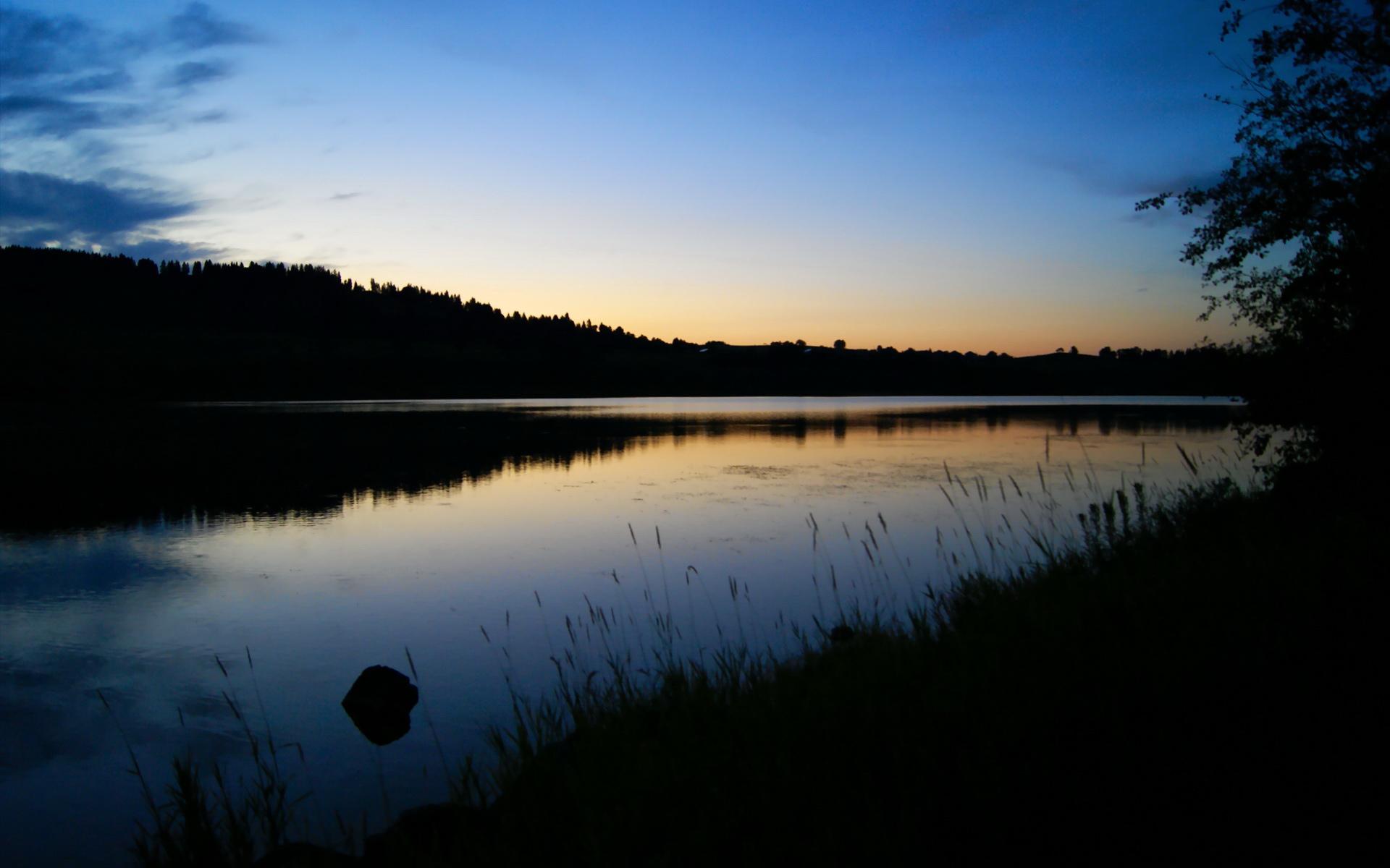 观众互动体验感提升粉丝互动体验提升,观众互动道具