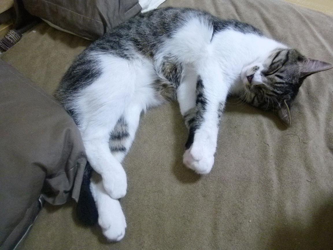 观众互动体验感提升粉丝互动体验提升,观众互动道具