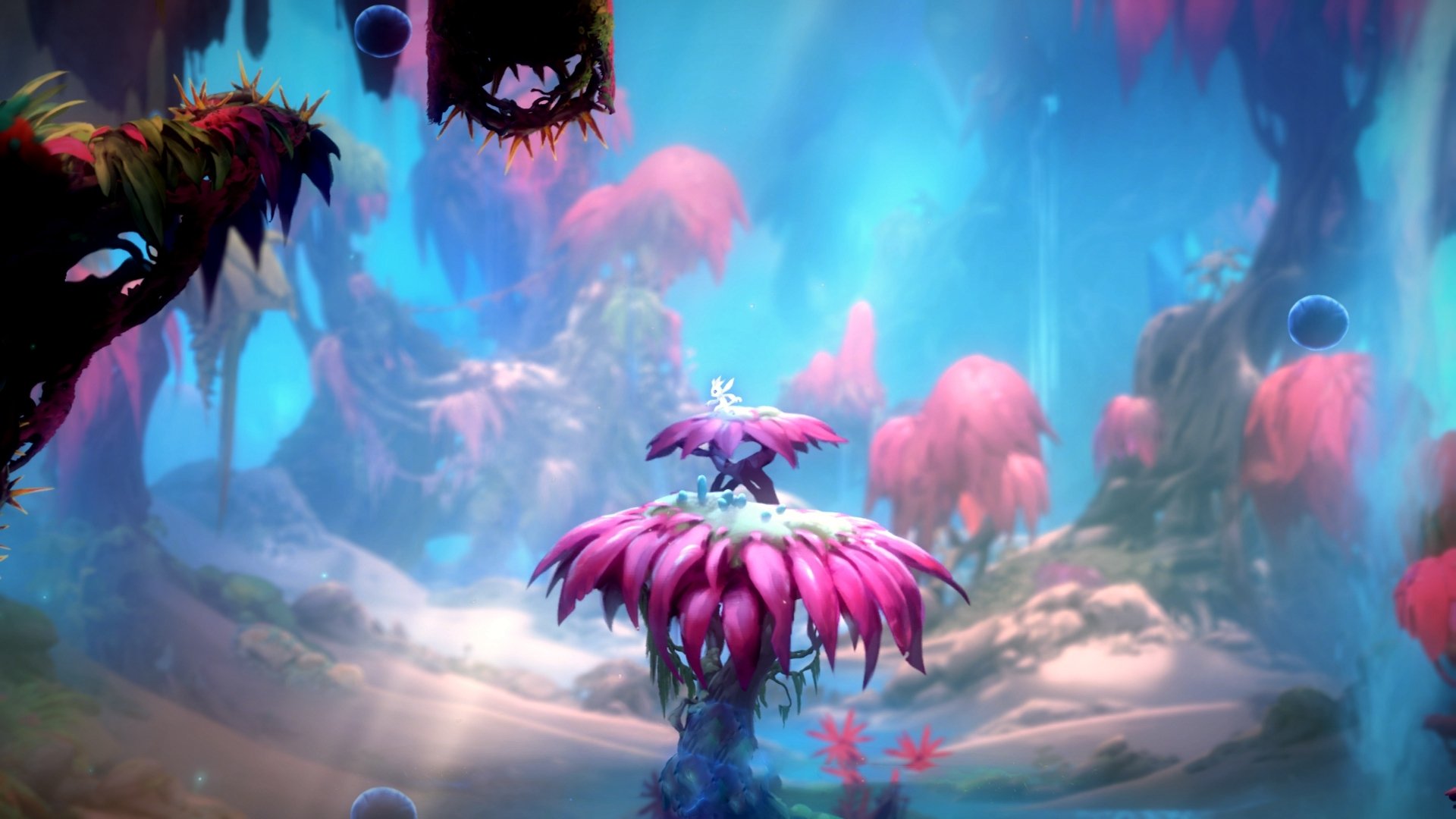 “华金·托比利亚的迅猛反应与稳健防守,提升美洲狮队的竞争力”