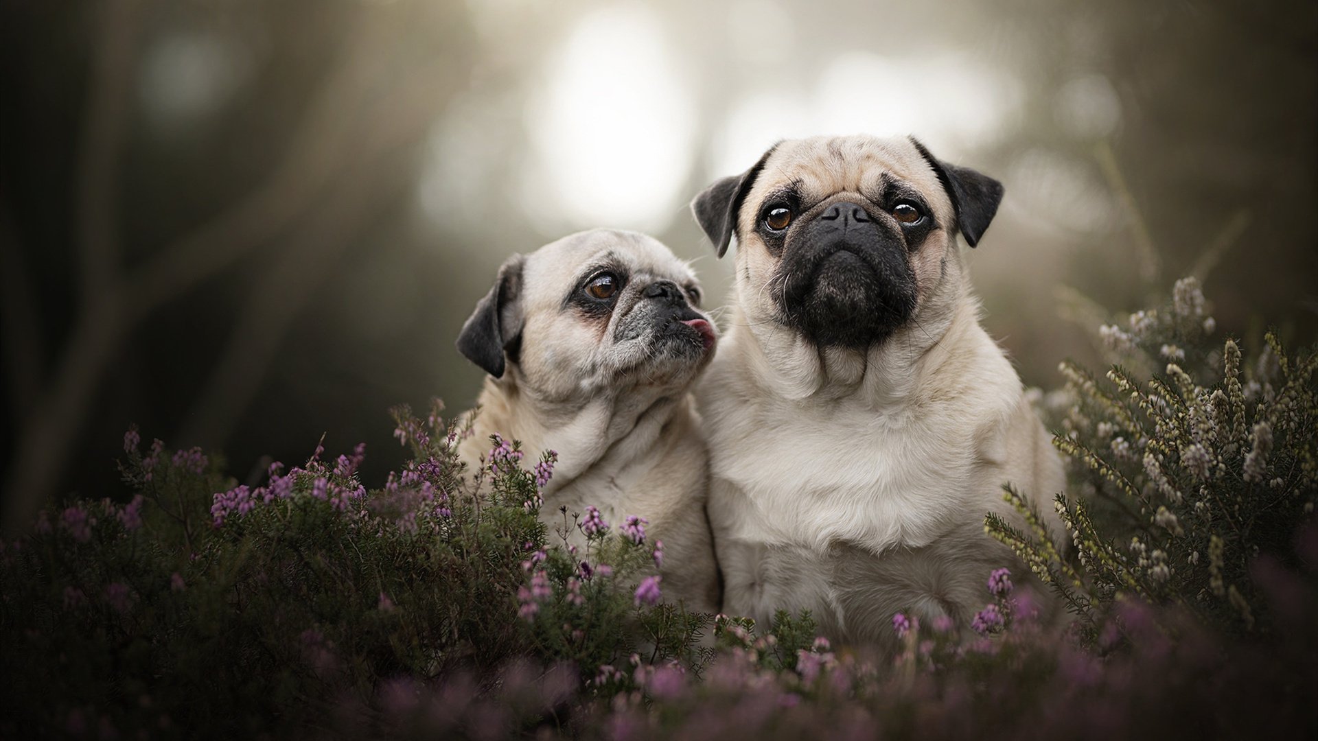 世界杯最震撼进球:让人久久难以忘怀,世界杯十大进球视频