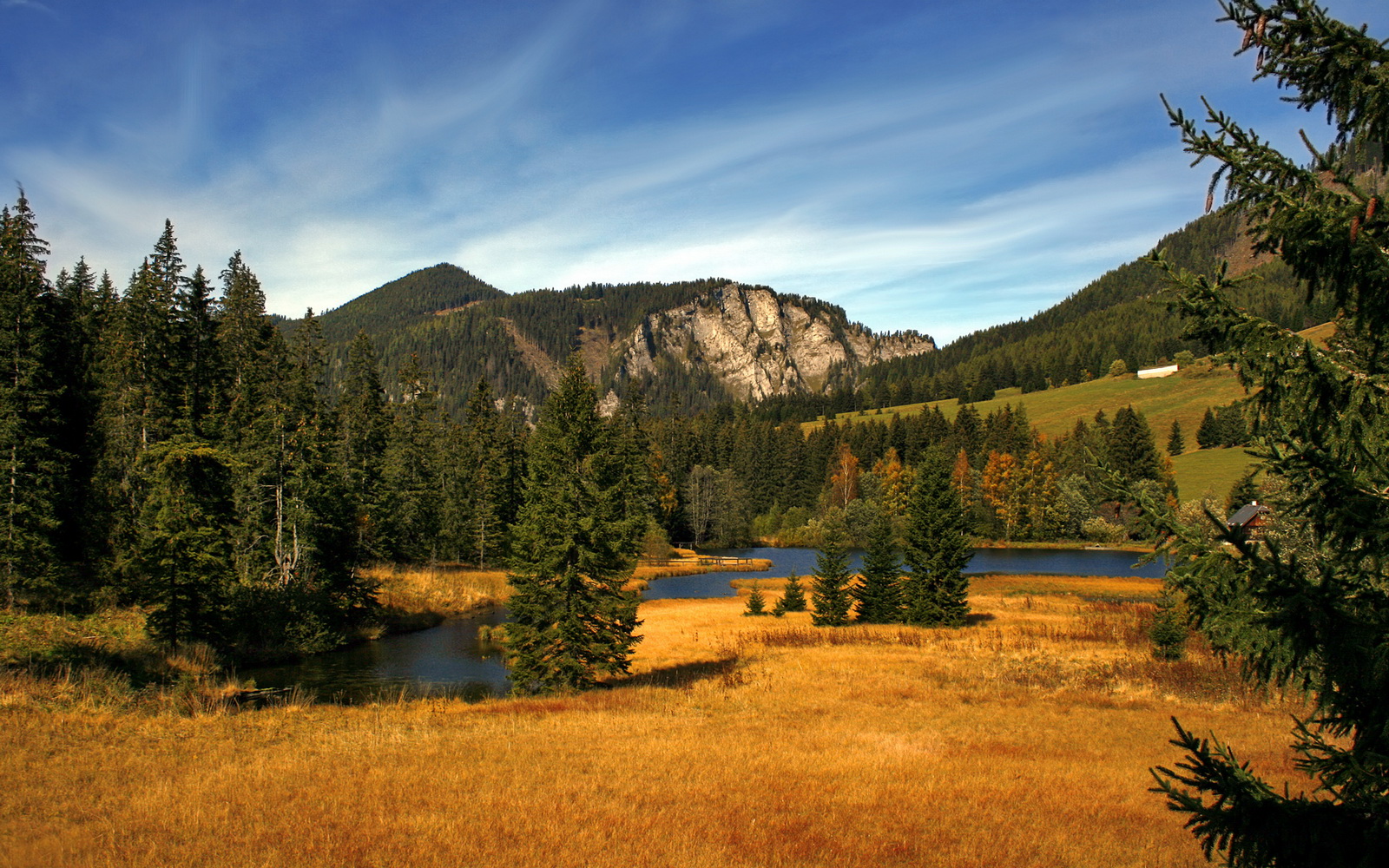 中国女排后备力量正在快速成长,中国女排后备人才集训名单