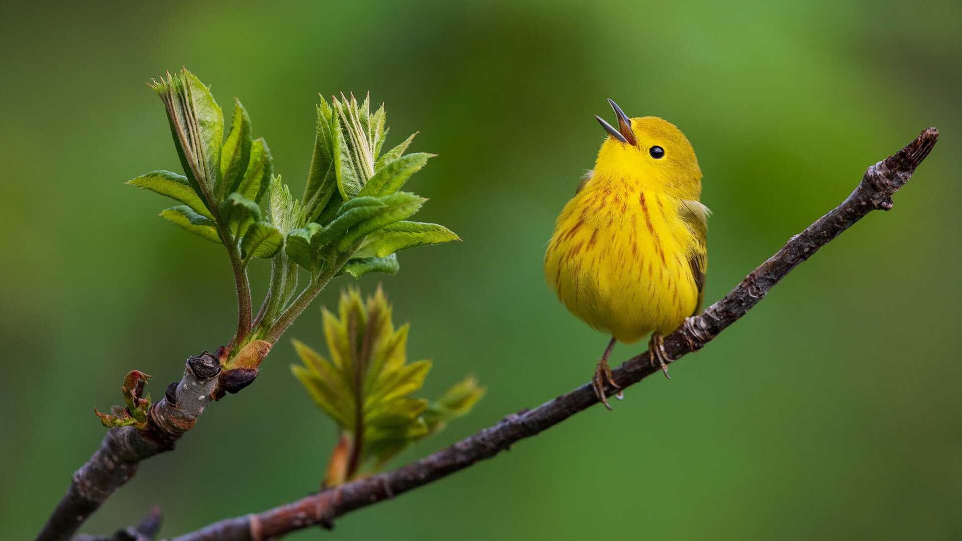 场馆功能区域优化升级多项便民服务提升球迷入场体验满意度,提高场馆利用率的方法
