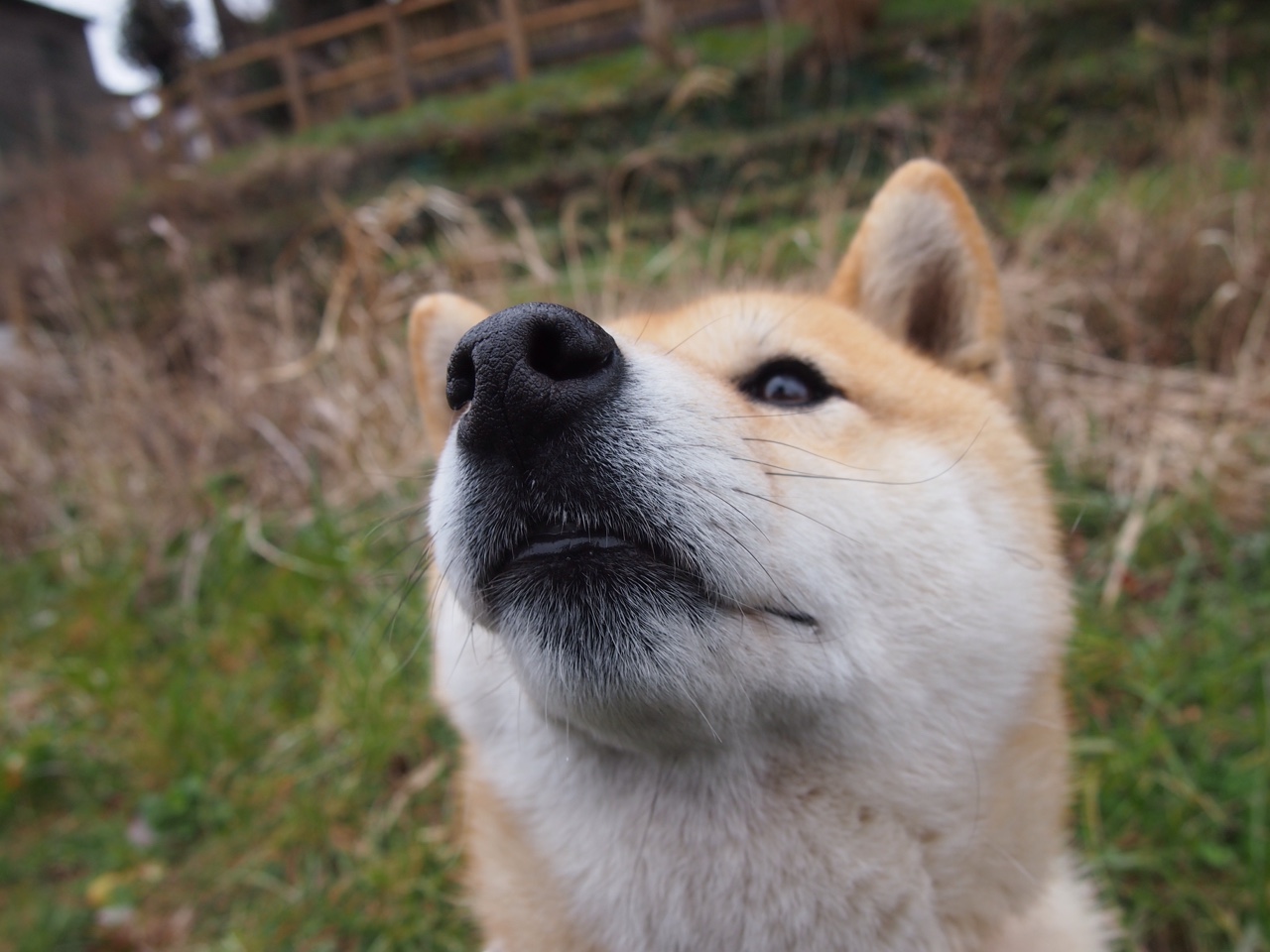 法国新一代球员崭露头角,赢得广泛关注