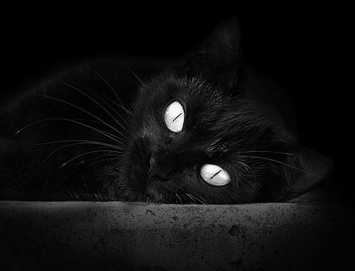 LeyuSports-法甲豪门夏窗大手笔签约，法甲夏窗转会汇总